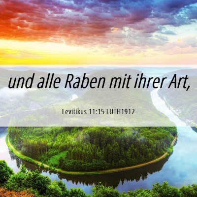 Picture 06 - Levitikus 11:15 LUTH1912 - und alle Raben mit ihrer - Bible Verse Picture