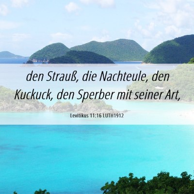 Picture 06 - Levitikus 11:16 LUTH1912 - den Strauß, die Nachteule, den Kuckuck, den - Bible Verse Picture