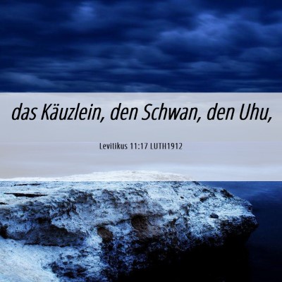 Picture 06 - Levitikus 11:17 LUTH1912 - das Käuzlein, den Schwan, den - Bible Verse Picture