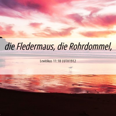 Picture 06 - Levitikus 11:18 LUTH1912 - die Fledermaus, die - Bible Verse Picture