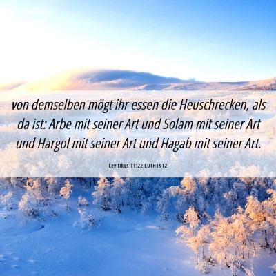 Picture 06 - Levitikus 11:22 LUTH1912 - von demselben mögt ihr essen die Heuschrecken, - Bible Verse Picture