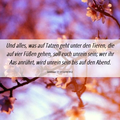Picture 06 - Levitikus 11:27 LUTH1912 - Und alles, was auf Tatzen geht unter den Tieren, - Bible Verse Picture