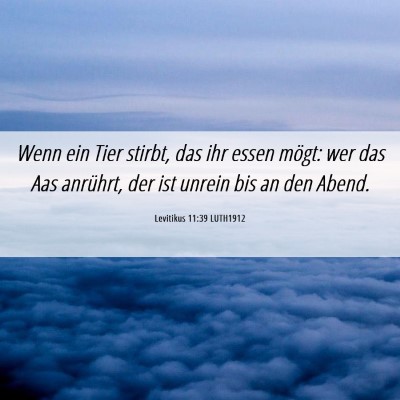 Picture 06 - Levitikus 11:39 LUTH1912 - Wenn ein Tier stirbt, das ihr essen mögt: wer - Bible Verse Picture
