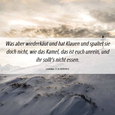 Picture 06 - Levitikus 11:4 LUTH1912 - Was aber wiederkäut und hat Klauen und spaltet - Bible Verse Picture