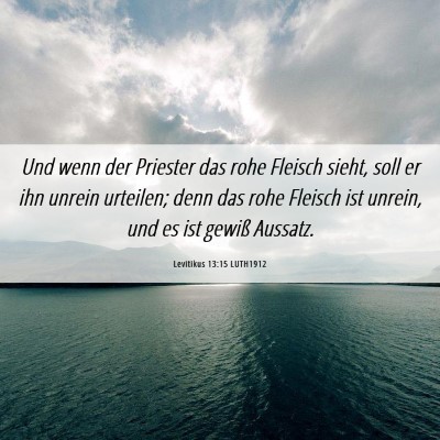 Picture 06 - Levitikus 13:15 LUTH1912 - Und wenn der Priester das rohe Fleisch sieht, - Bible Verse Picture