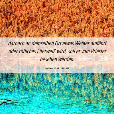 Picture 06 - Levitikus 13:19 LUTH1912 - darnach an demselben Ort etwas Weißes auffährt - Bible Verse Picture