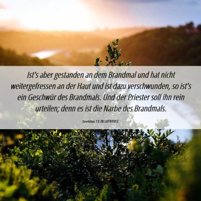 Picture 06 - Levitikus 13:28 LUTH1912 - Ist's aber gestanden an dem Brandmal und hat - Bible Verse Picture