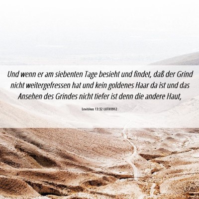 Picture 06 - Levitikus 13:32 LUTH1912 - Und wenn er am siebenten Tage besieht und findet, - Bible Verse Picture