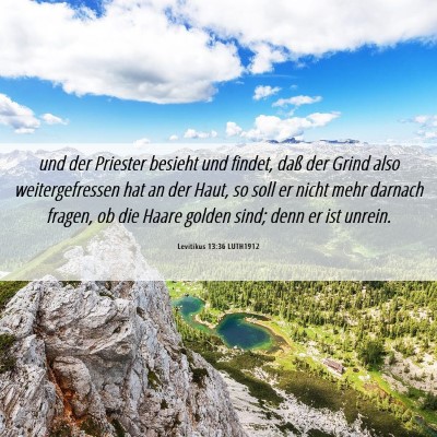 Picture 06 - Levitikus 13:36 LUTH1912 - und der Priester besieht und findet, daß der - Bible Verse Picture