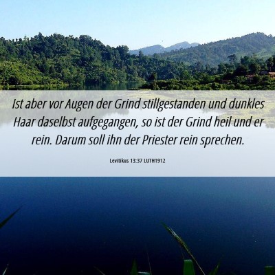 Picture 06 - Levitikus 13:37 LUTH1912 - Ist aber vor Augen der Grind stillgestanden und - Bible Verse Picture
