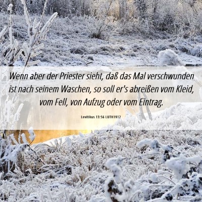 Picture 06 - Levitikus 13:56 LUTH1912 - Wenn aber der Priester sieht, daß das Mal - Bible Verse Picture