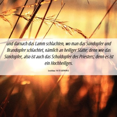 Picture 06 - Levitikus 14:13 LUTH1912 - und darnach das Lamm schlachten, wo man das - Bible Verse Picture
