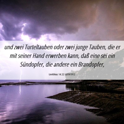 Picture 06 - Levitikus 14:22 LUTH1912 - und zwei Turteltauben oder zwei junge Tauben, die - Bible Verse Picture