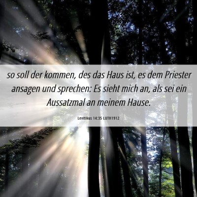Picture 06 - Levitikus 14:35 LUTH1912 - so soll der kommen, des das Haus ist, es dem - Bible Verse Picture