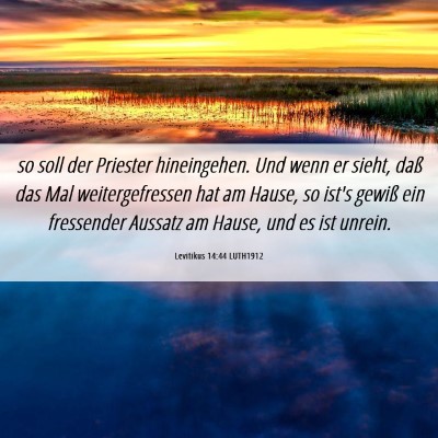Picture 06 - Levitikus 14:44 LUTH1912 - so soll der Priester hineingehen. Und wenn er - Bible Verse Picture