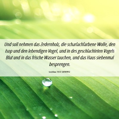 Picture 06 - Levitikus 14:51 LUTH1912 - Und soll nehmen das Zedernholz, die - Bible Verse Picture