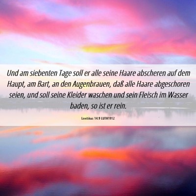 Picture 06 - Levitikus 14:9 LUTH1912 - Und am siebenten Tage soll er alle seine Haare - Bible Verse Picture