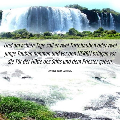 Picture 06 - Levitikus 15:14 LUTH1912 - Und am achten Tage soll er zwei Turteltauben oder - Bible Verse Picture