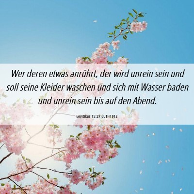 Picture 06 - Levitikus 15:27 LUTH1912 - Wer deren etwas anrührt, der wird unrein sein - Bible Verse Picture