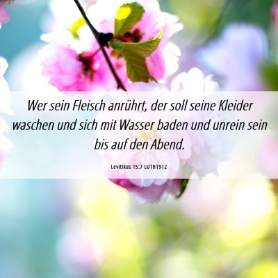 Picture 06 - Levitikus 15:7 LUTH1912 - Wer sein Fleisch anrührt, der soll seine Kleider - Bible Verse Picture