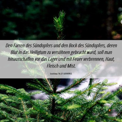 Picture 06 - Levitikus 16:27 LUTH1912 - Den Farren des Sündopfers und den Bock des - Bible Verse Picture