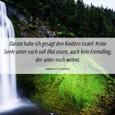 Picture 06 - Levitikus 17:12 LUTH1912 - Darum habe ich gesagt den Kindern Israel: Keine - Bible Verse Picture