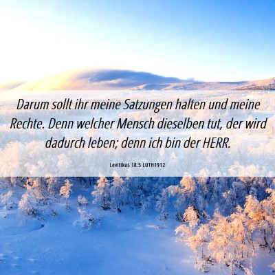 Picture 06 - Levitikus 18:5 LUTH1912 - Darum sollt ihr meine Satzungen halten und meine - Bible Verse Picture