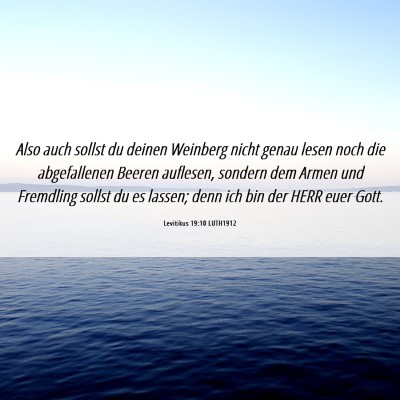 Picture 06 - Levitikus 19:10 LUTH1912 - Also auch sollst du deinen Weinberg nicht genau - Bible Verse Picture
