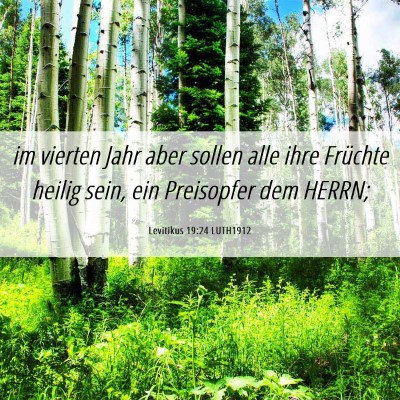Picture 06 - Levitikus 19:24 LUTH1912 - im vierten Jahr aber sollen alle ihre Früchte - Bible Verse Picture