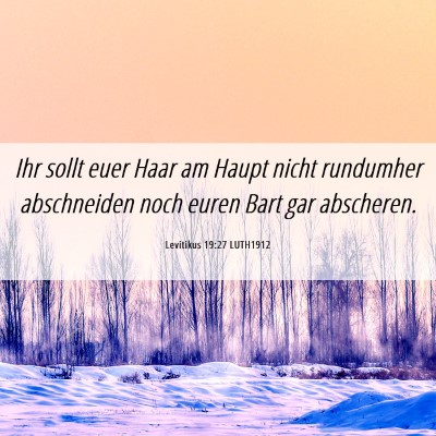 Picture 06 - Levitikus 19:27 LUTH1912 - Ihr sollt euer Haar am Haupt nicht rundumher - Bible Verse Picture