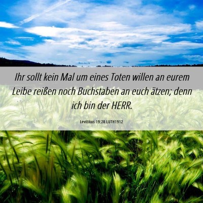 Picture 06 - Levitikus 19:28 LUTH1912 - Ihr sollt kein Mal um eines Toten willen an eurem - Bible Verse Picture