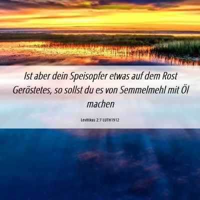 Picture 06 - Levitikus 2:7 LUTH1912 - Ist aber dein Speisopfer etwas auf dem Rost - Bible Verse Picture