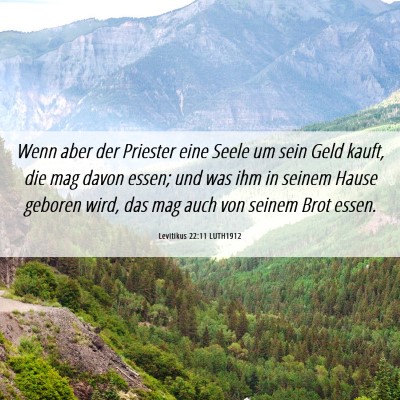 Picture 06 - Levitikus 22:11 LUTH1912 - Wenn aber der Priester eine Seele um sein Geld - Bible Verse Picture