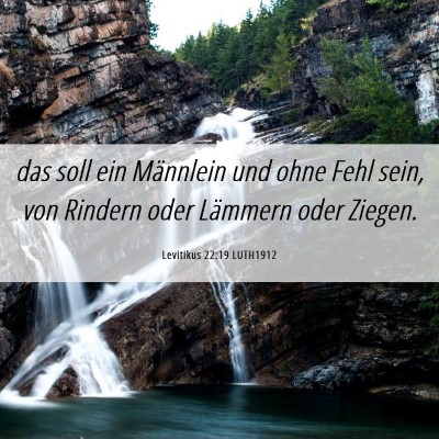 Picture 06 - Levitikus 22:19 LUTH1912 - das soll ein Männlein und ohne Fehl sein, von - Bible Verse Picture
