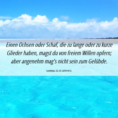 Picture 06 - Levitikus 22:23 LUTH1912 - Einen Ochsen oder Schaf, die zu lange oder zu - Bible Verse Picture