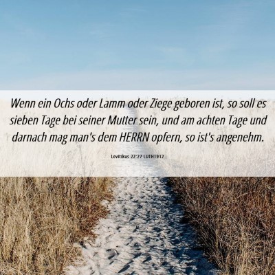 Picture 06 - Levitikus 22:27 LUTH1912 - Wenn ein Ochs oder Lamm oder Ziege geboren ist, - Bible Verse Picture