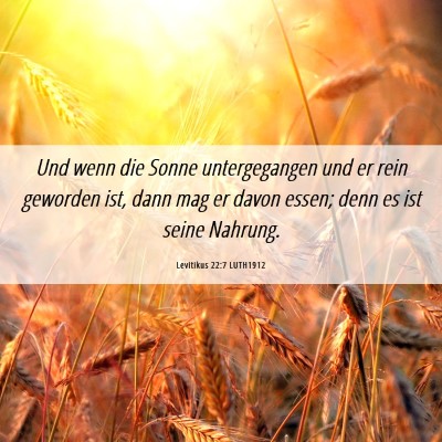 Picture 06 - Levitikus 22:7 LUTH1912 - Und wenn die Sonne untergegangen und er rein - Bible Verse Picture
