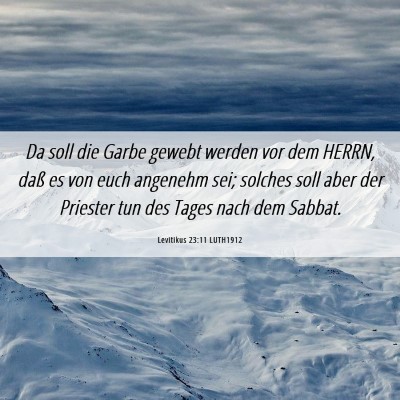 Picture 06 - Levitikus 23:11 LUTH1912 - Da soll die Garbe gewebt werden vor dem HERRN, - Bible Verse Picture