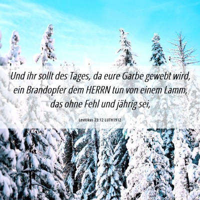 Picture 06 - Levitikus 23:12 LUTH1912 - Und ihr sollt des Tages, da eure Garbe gewebt - Bible Verse Picture