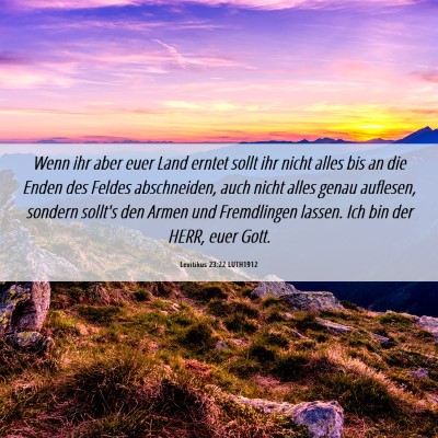 Picture 06 - Levitikus 23:22 LUTH1912 - Wenn ihr aber euer Land erntet sollt ihr nicht - Bible Verse Picture