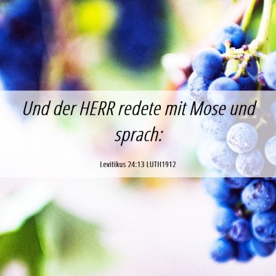 Picture 06 - Levitikus 24:13 LUTH1912 - Und der HERR redete mit Mose und - Bible Verse Picture