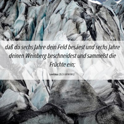Picture 06 - Levitikus 25:3 LUTH1912 - daß du sechs Jahre dein Feld besäest und sechs - Bible Verse Picture