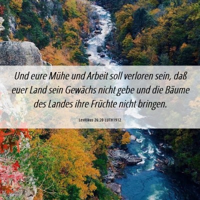 Picture 06 - Levitikus 26:20 LUTH1912 - Und eure Mühe und Arbeit soll verloren sein, - Bible Verse Picture