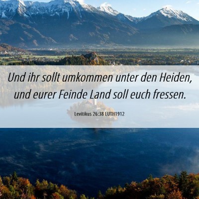 Picture 06 - Levitikus 26:38 LUTH1912 - Und ihr sollt umkommen unter den Heiden, und - Bible Verse Picture