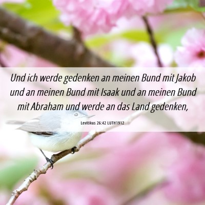 Picture 06 - Levitikus 26:42 LUTH1912 - Und ich werde gedenken an meinen Bund mit Jakob - Bible Verse Picture