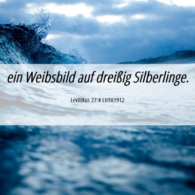 Picture 06 - Levitikus 27:4 LUTH1912 - ein Weibsbild auf dreißig - Bible Verse Picture