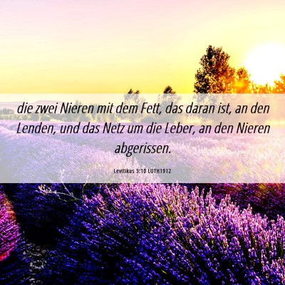 Picture 06 - Levitikus 3:10 LUTH1912 - die zwei Nieren mit dem Fett, das daran ist, an - Bible Verse Picture