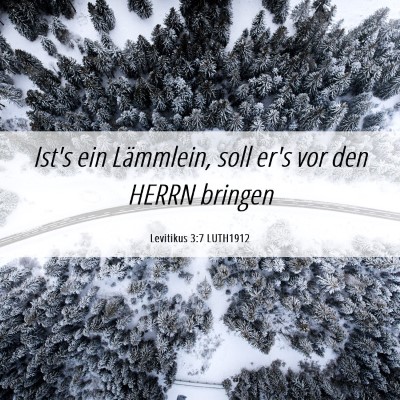 Picture 06 - Levitikus 3:7 LUTH1912 - Ist's ein Lämmlein, soll er's vor den HERRN - Bible Verse Picture