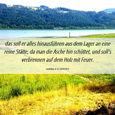 Picture 06 - Levitikus 4:12 LUTH1912 - das soll er alles hinausführen aus dem Lager an - Bible Verse Picture