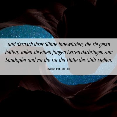 Picture 06 - Levitikus 4:14 LUTH1912 - und darnach ihrer Sünde innewürden, die sie - Bible Verse Picture
